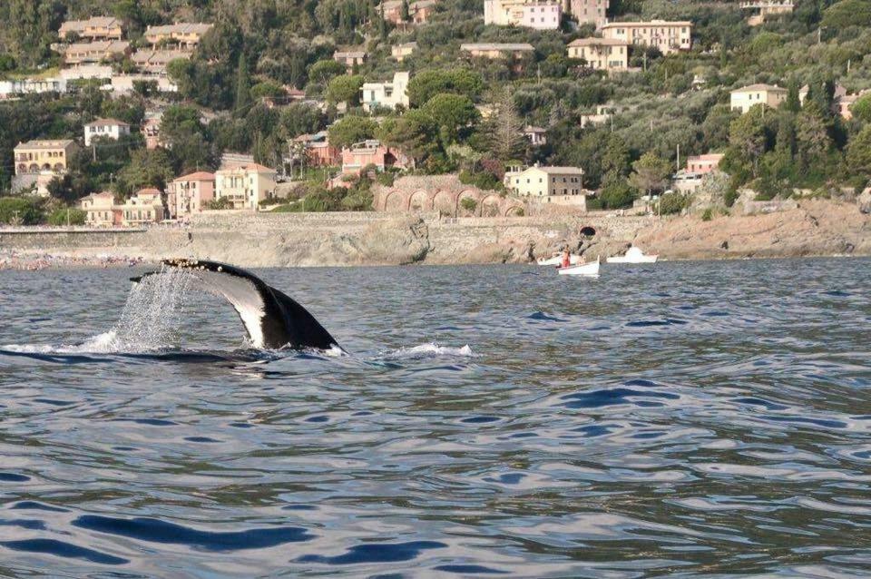 Casa Vacanza Angela Villa Bonassola Bagian luar foto